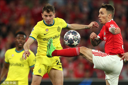 荷乙直播在线直播免费观看