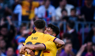 荷乙直播在线观看直播