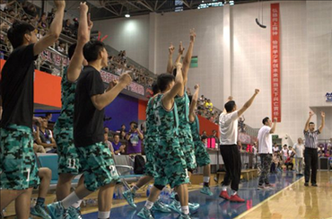 荷甲足球在线直播观看