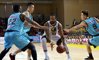 德乙联赛视频直播在线观看