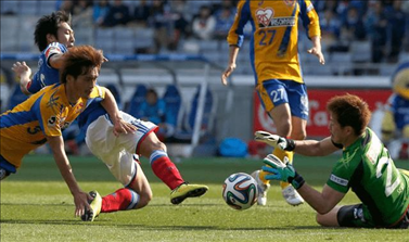 英冠直播免费观看全部视频