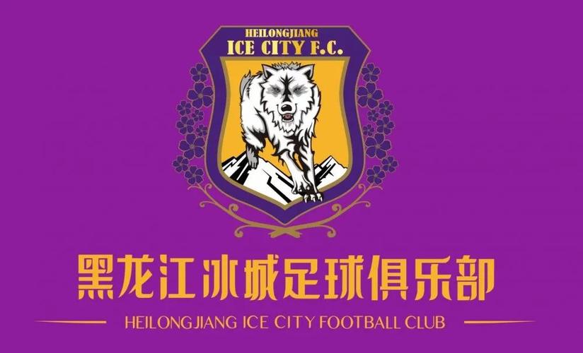 2024年9月21日中甲黑龙江冰城vs延边龙鼎免费(无插件)回放-好球直播吧