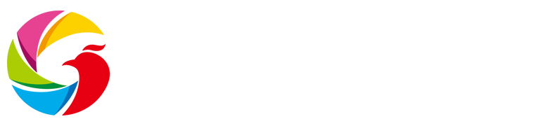 雨燕体育直播