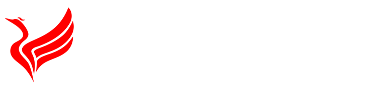 雨燕体育直播